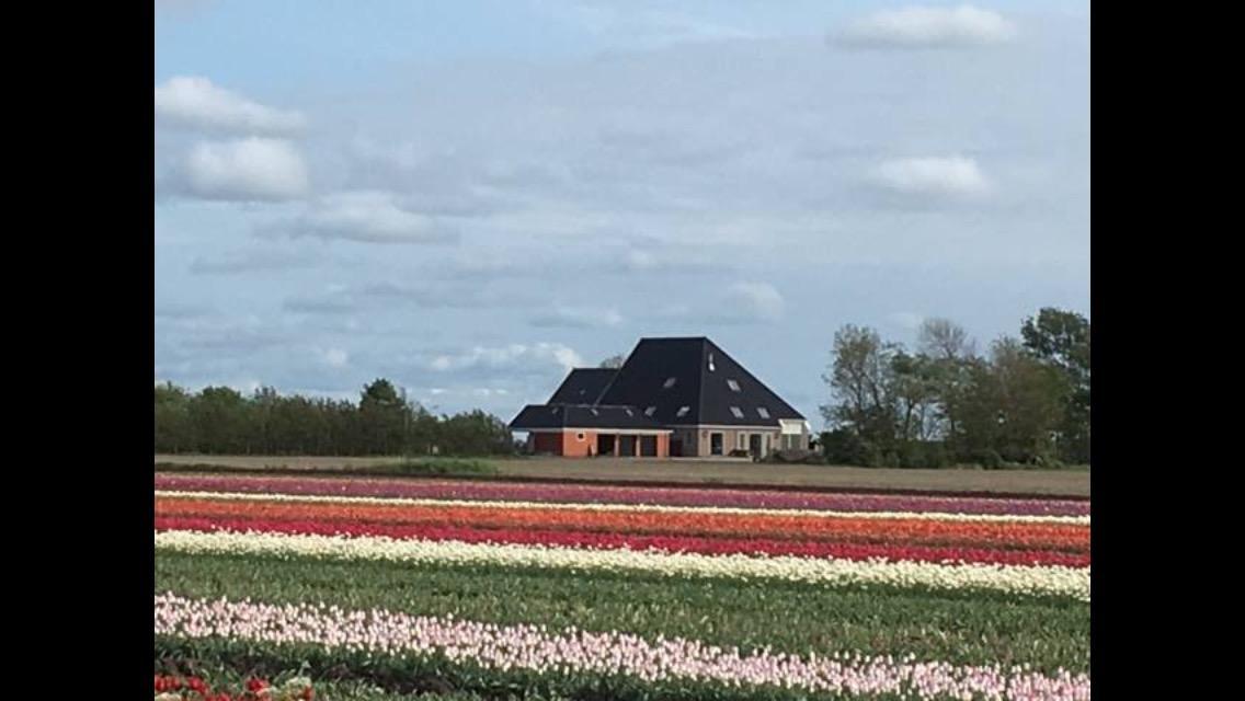 Boerderij De Waard Bed & Breakfast Anna Paulowna Bagian luar foto